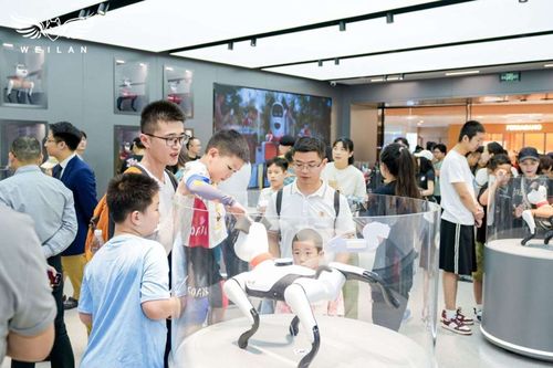 蔚藍(lán)科技發(fā)布具身智能產(chǎn)品矩陣，引領(lǐng)AI新紀(jì)元的信息技術(shù)咨詢服務(wù)革新