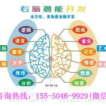 廈門學之源科技開發公司 專注早教教材與幼教產品，引領信息技術咨詢服務
